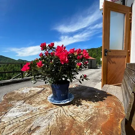 Casa Svetlana