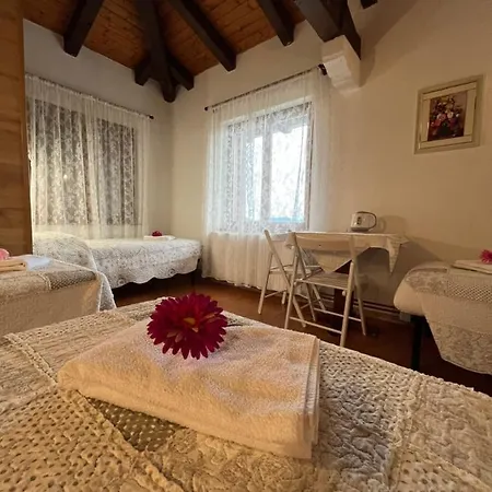 Casa Svetlana Bed & Breakfast Taipana